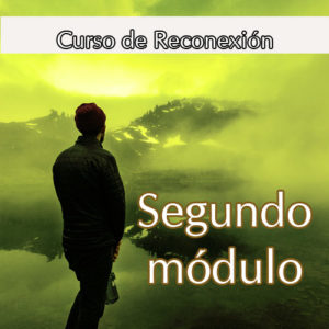 esencia conectar con el alma