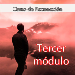 esencia conectar con el alma